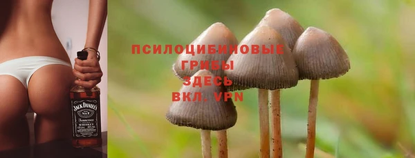 прущая мука Алзамай